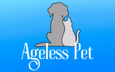 Rehabilitation Therapy for Pets